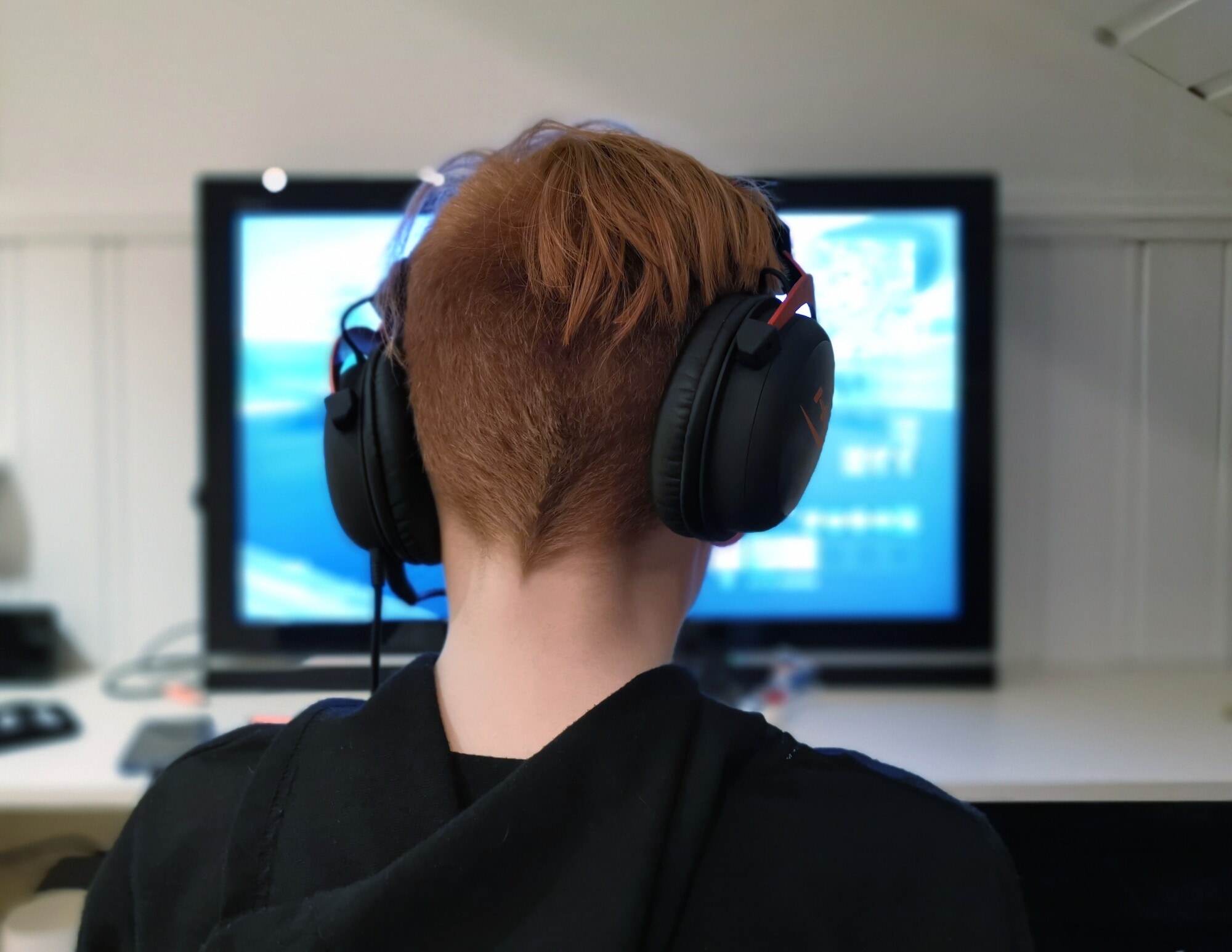 Uw opties voor een Terraria-server verkennen