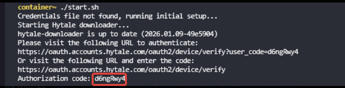 Start your server. It will print an authorization code in the console