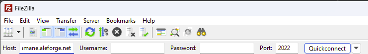 Remove:2022 from Host and type 2022 under port, like so.