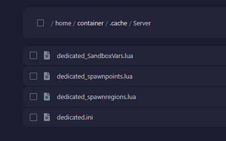 /home/container/.cache/Server