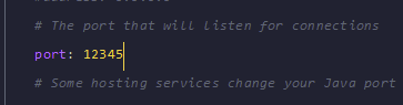 Set the Bedrock listening port. This will be the additional port you forwarded or got from your host.